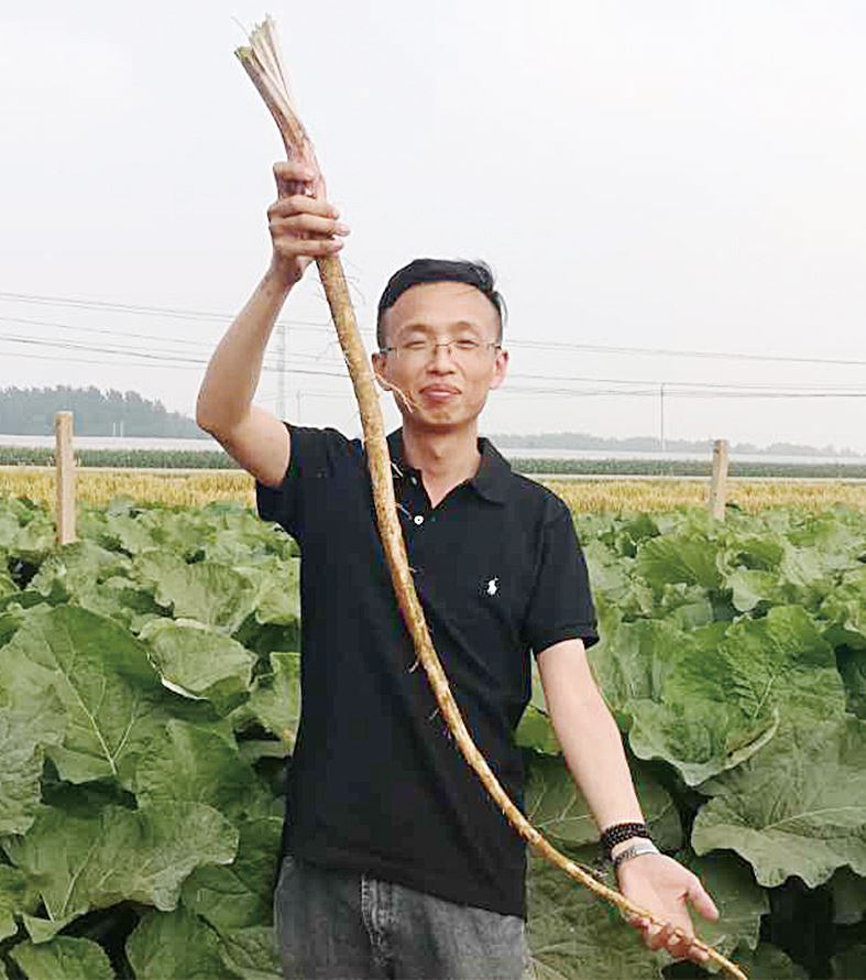 尊龙凯时集团有限公司内容图片展示